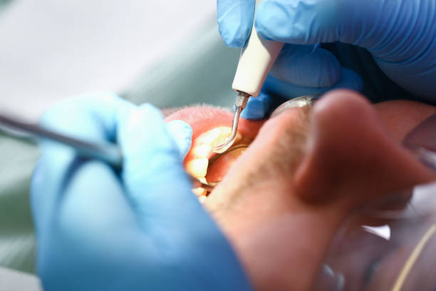 Best Pediatric Emergency Dentist in Oakland, FL